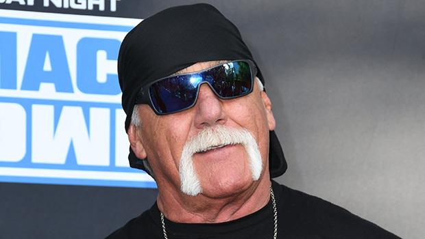 hulk-hogan-reportedly-marries-third-wife-sky-daily-in-florida