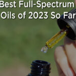 the-best-full-spectrum-cbd-oils-of-2023-so-far
