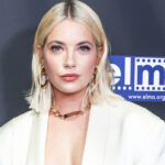 ashley-benson-is-reportedly-pregnant-and-expecting-baby-no.-1-with-fiance-brandon-davis