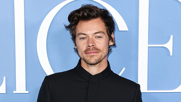 harry-styles-gives-1st-official-look-at-controversial-new-buzz-cut