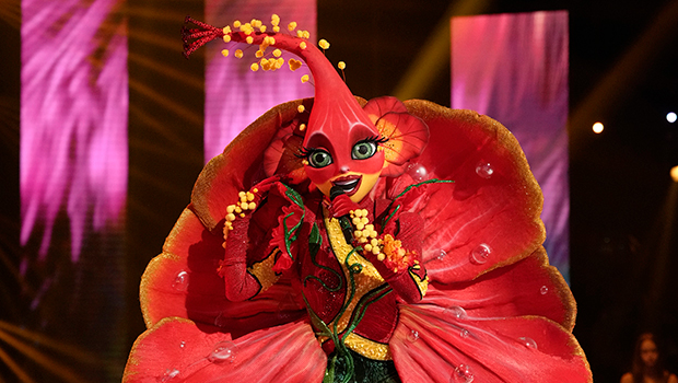 the-masked-singer’s-hibiscus-revealed-as-‘real-housewives’-star:-the-show-was-an-‘unbelievable-experience’