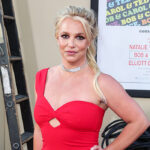 britney-spears-appears-distraught-while-rushing-dog-to-vet-in-middle-of-the-night-on-birthday