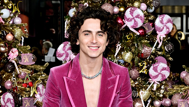 timothee-chalamet-reveals-birthday-plans-amid-kylie-jenner-romance:-watch
