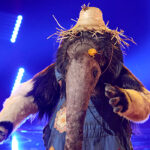 the-masked-singer’s-anteater-is-revealed-as-rock-icon:-what-made-him-‘really-afraid’-onstage