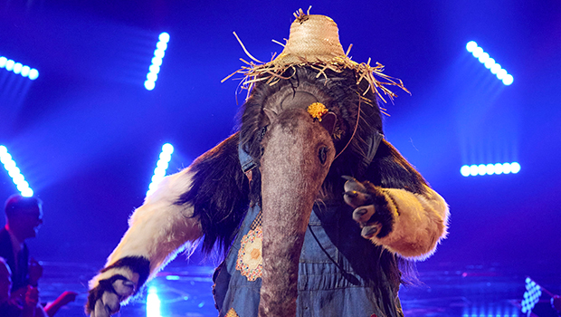 the-masked-singer’s-anteater-is-revealed-as-rock-icon:-what-made-him-‘really-afraid’-onstage