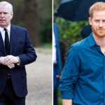 prince-harry-and-prince-andrew-quietly-barred-from-counsellor-of-state-roles-amid-king-charles’-medical-procedure