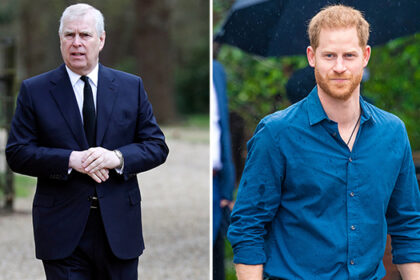 prince-harry-and-prince-andrew-quietly-barred-from-counsellor-of-state-roles-amid-king-charles’-medical-procedure