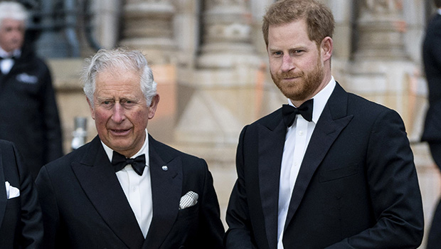 prince-harry-would-reportedly-be-willing-return-to-royal-duties-if-asked-by-king-charles-following-his-cancer-diagnosis