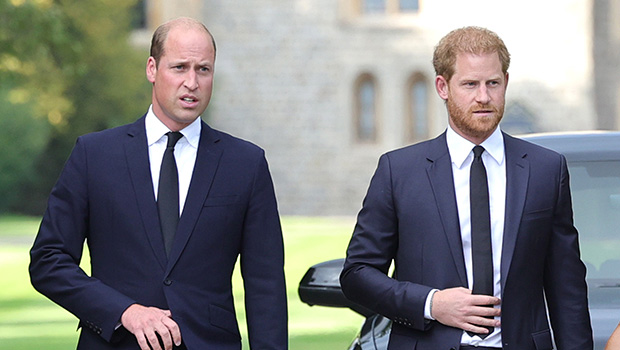 prince-harry-reportedly-contacted-prince-william-after-kate-middleton’s-‘serious-operation’
